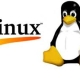 Linux Tux logo