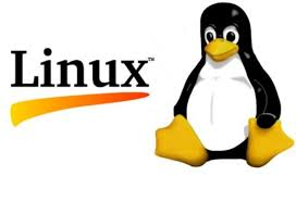 Linux Tux logo