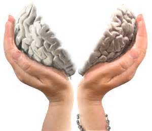 Brain halves illustration