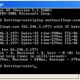 Ping command output