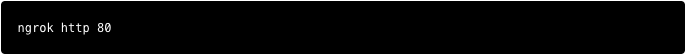 ngrok command example