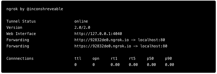 ngrok configuration terminal