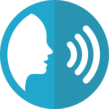 Recording voice icon